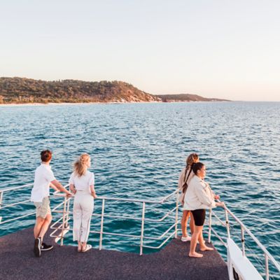 Guided tour to encounter wild humpback whales in the waters off K'gari