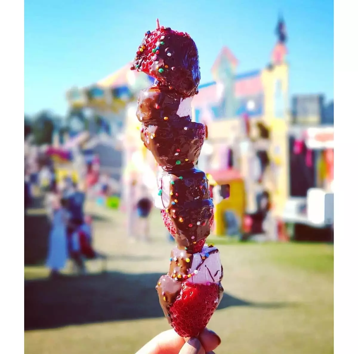 Queensland Food Festivals and Food Events Queensland