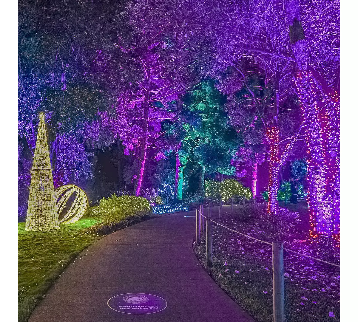 Where to see Brisbane