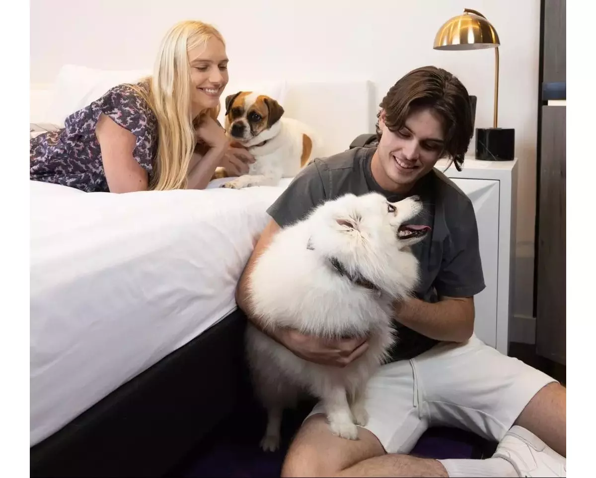 Embark on an adventure at the best petfriendly in Brisbane Queensland