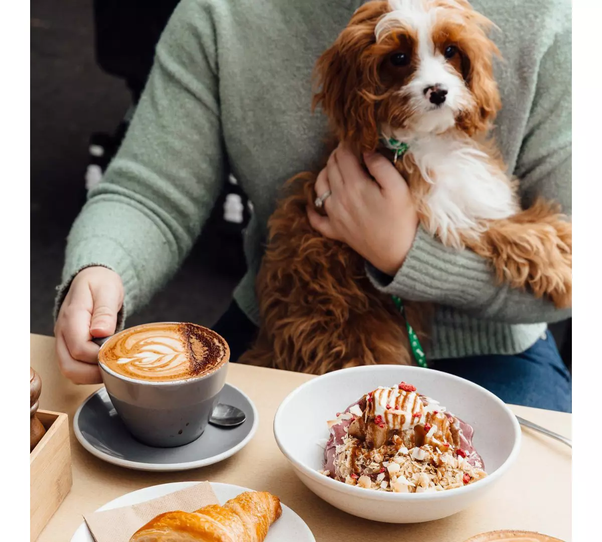 Dog-Friendly Cafes In Brisbane | Queensland