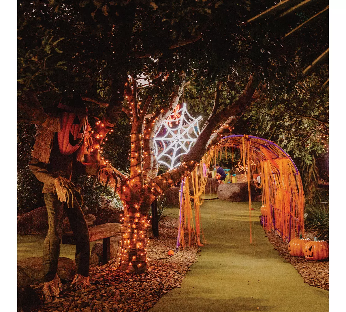 Halloween Events in Queensland Queensland