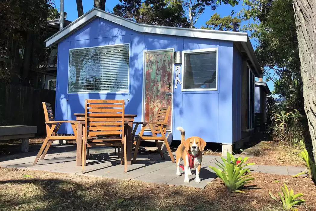 Queensland S Best Dog Friendly Holiday Homes Queensland