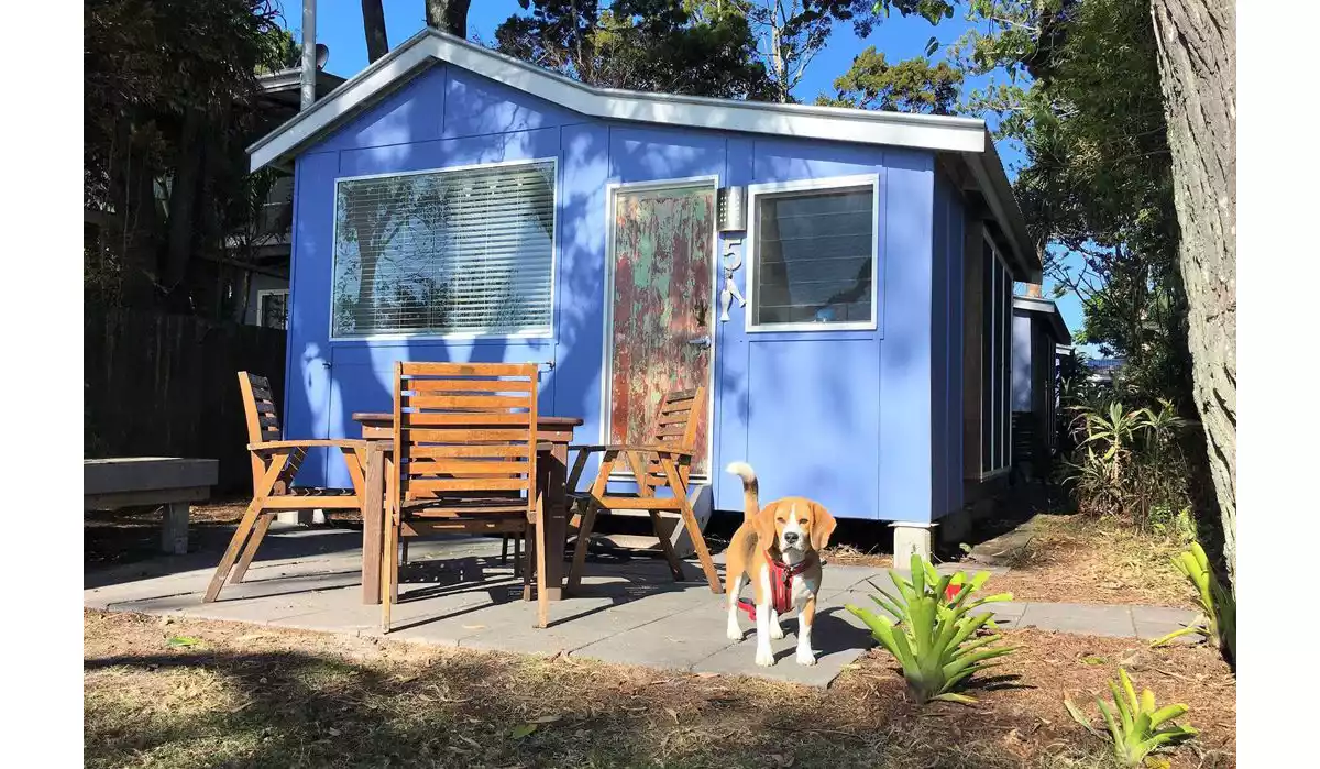 Queensland S Best Dog Friendly Holiday Homes Queensland