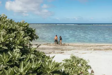 Couple getting ready to snorkel off a coral beach