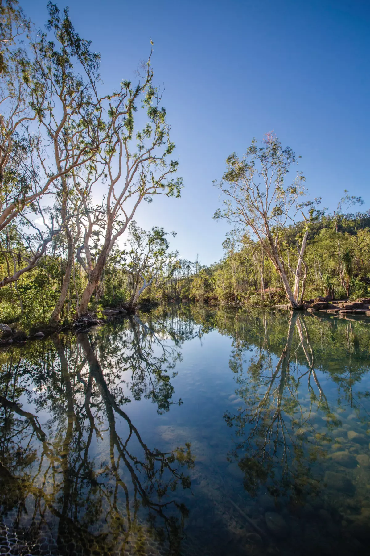 Stoney Creek in the Byfield National Park - Rockhampton 