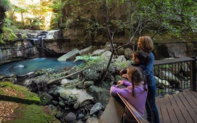 Carnarvon on sale gorge accommodation