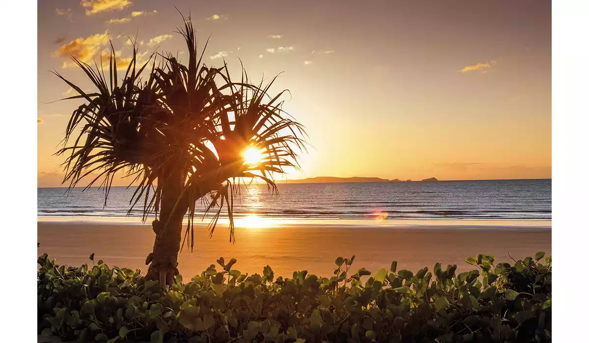 Rockhampton Road Trip Guide Information Queensland
