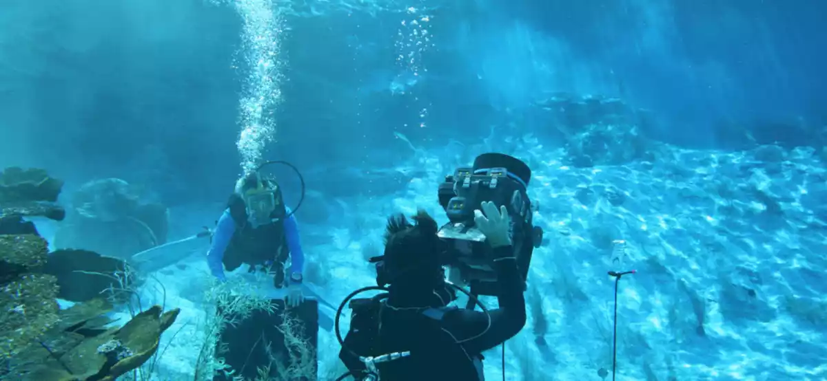 Hollywood Blockbusters Filmed In Queensland Queensland