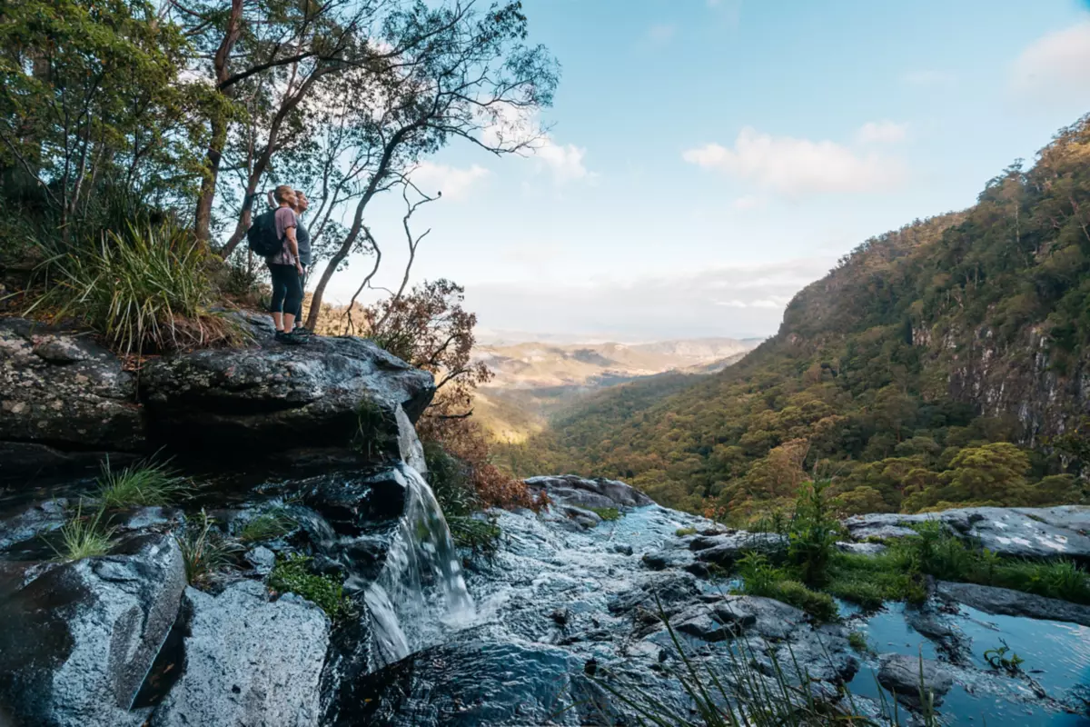 How to Experience Lamington National Park | Queensland