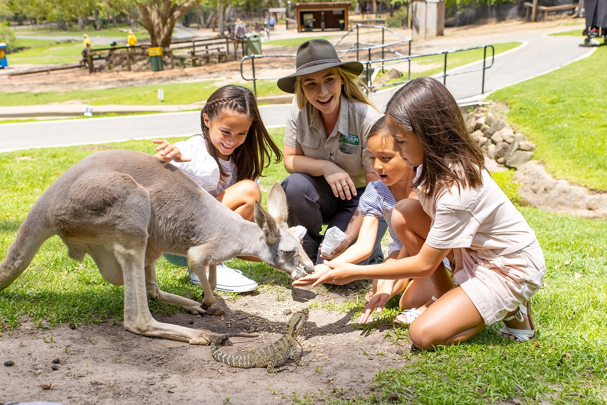 How to Do the Gold Coast's Currumbin Wildlife Sanctuary | Queensland