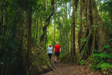 Couple hiking in Lamington National Park | scenic rim for couples