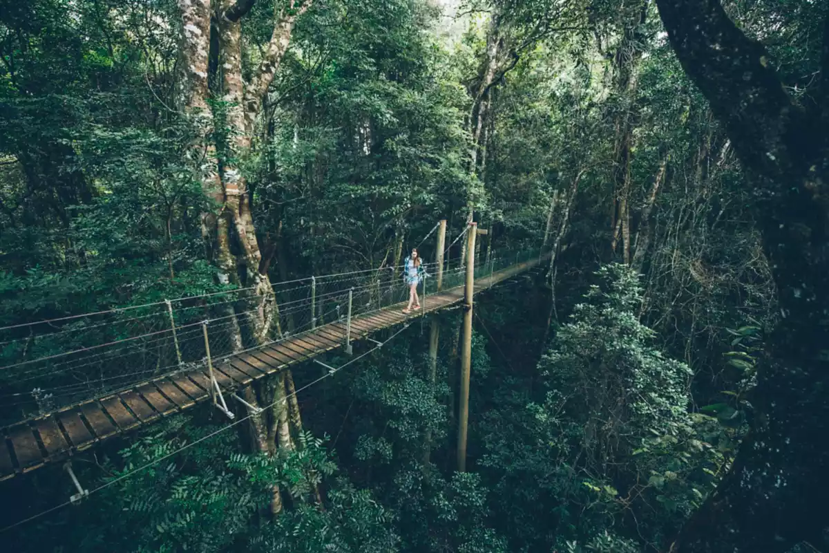 koks eskortere Anmelder Discover the Best Hikes and National Parks Near Brisbane | Queensland