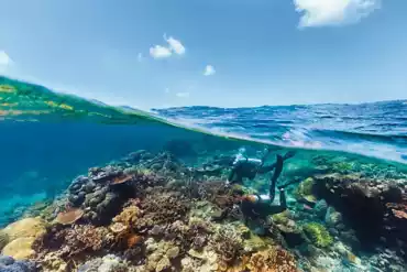 Experience Australia S Great Barrier Reef Queensland