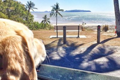 Dog friendly touring caravan sites sales near beach