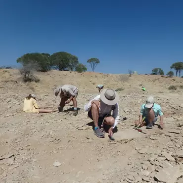 Dig for dinosaurs outback queensland | volunteer holiday Queensland