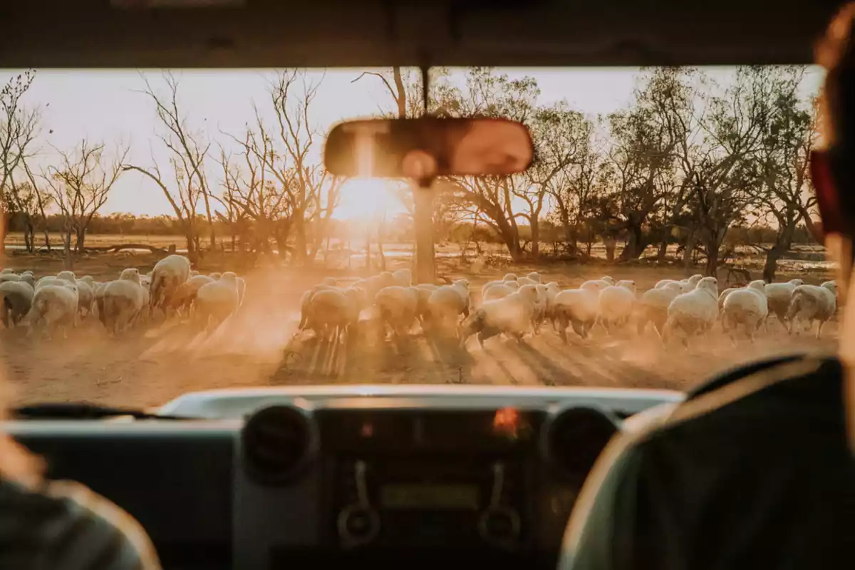 strække civilisation Martyr Driving the Adventure Way - Outback Australia | Queensland