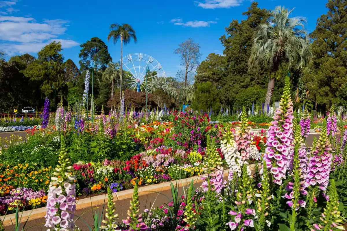 Toowoomba Carnival Of Flowers To Go Ahead In 2020 Queensland