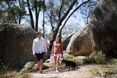 Bush walk dog friendly outlet