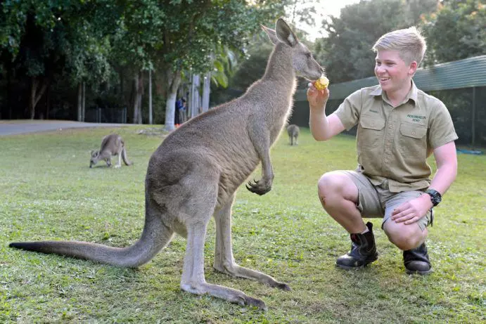 Your Guide to Exploring Australia Zoo on the Sunshine Coast | Queensland