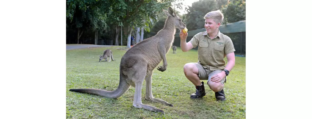 Your Guide to Exploring Australia Zoo on the Sunshine Coast | Queensland