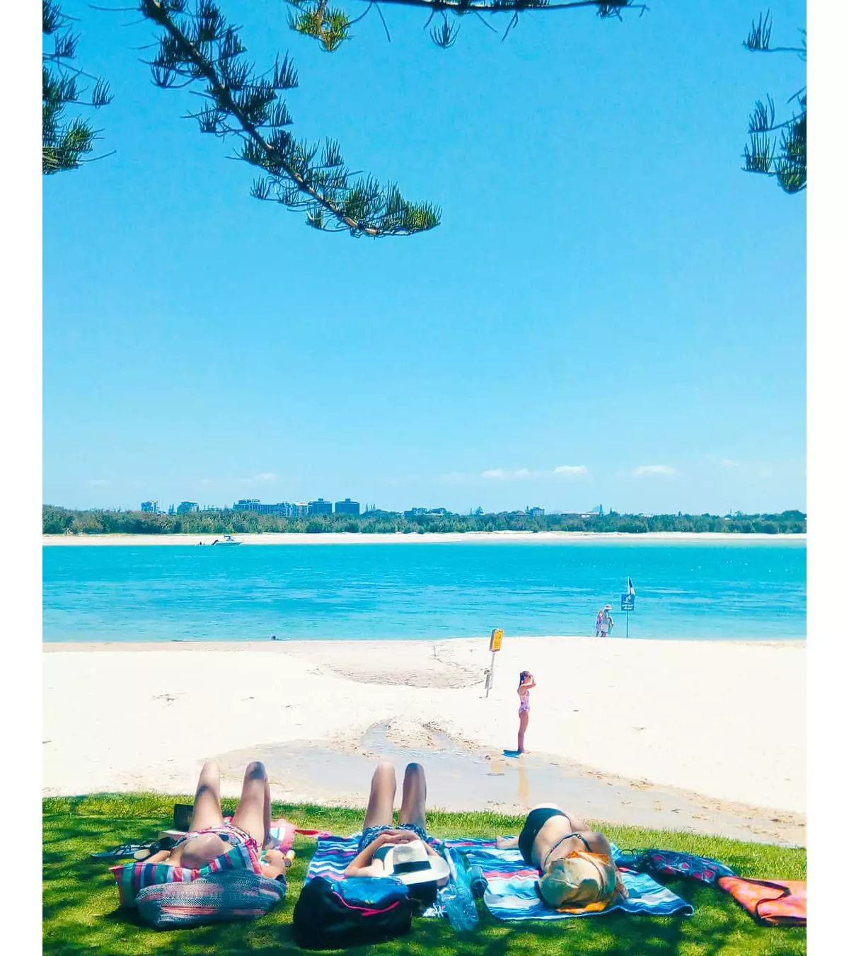 Best Picnic Spots In Queensland Food and Drink Queensland