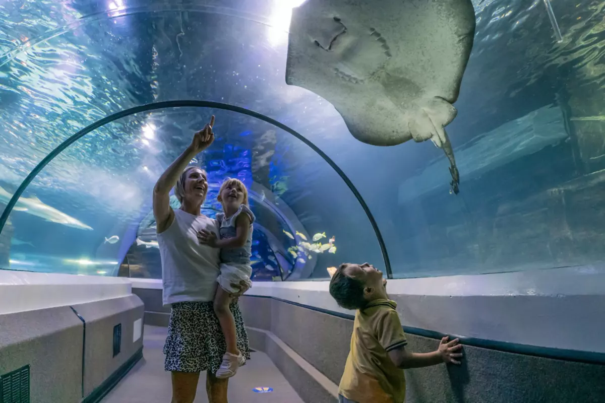 Your Guide to a Five Day Family Holiday on the Sunshine Coast Queensland