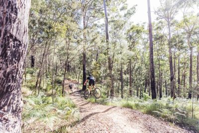 Coast bike park store