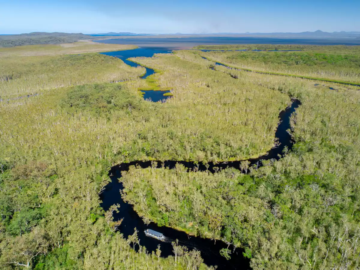 Noosa Everglades Kayak Map How To Explore & Experience The Noosa Everglades | Queensland