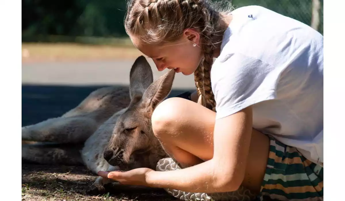 Your Guide To Exploring Australia Zoo Queensland