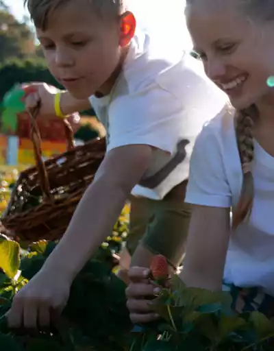 Queensland Public Holidays School Holidays Dates Queensland Queensland Public Holidays School Holidays Dates Queensland