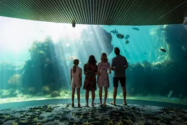 Family in the Underwater Observatory of the Living Reef, Daydream Island Resort | family friendly resorts queensland Family in the Underwater Observatory of the Living Reef, Daydream Island Resort | family friendly resorts queensland
