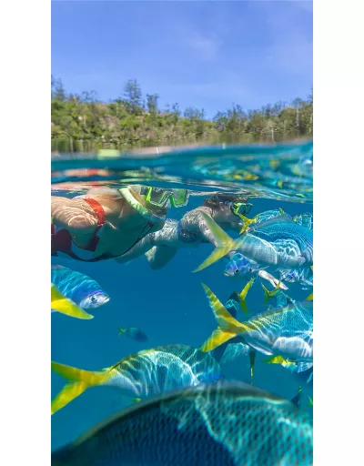 Découvrez la plongée sous-marine PADI dans la région de Tortugas à