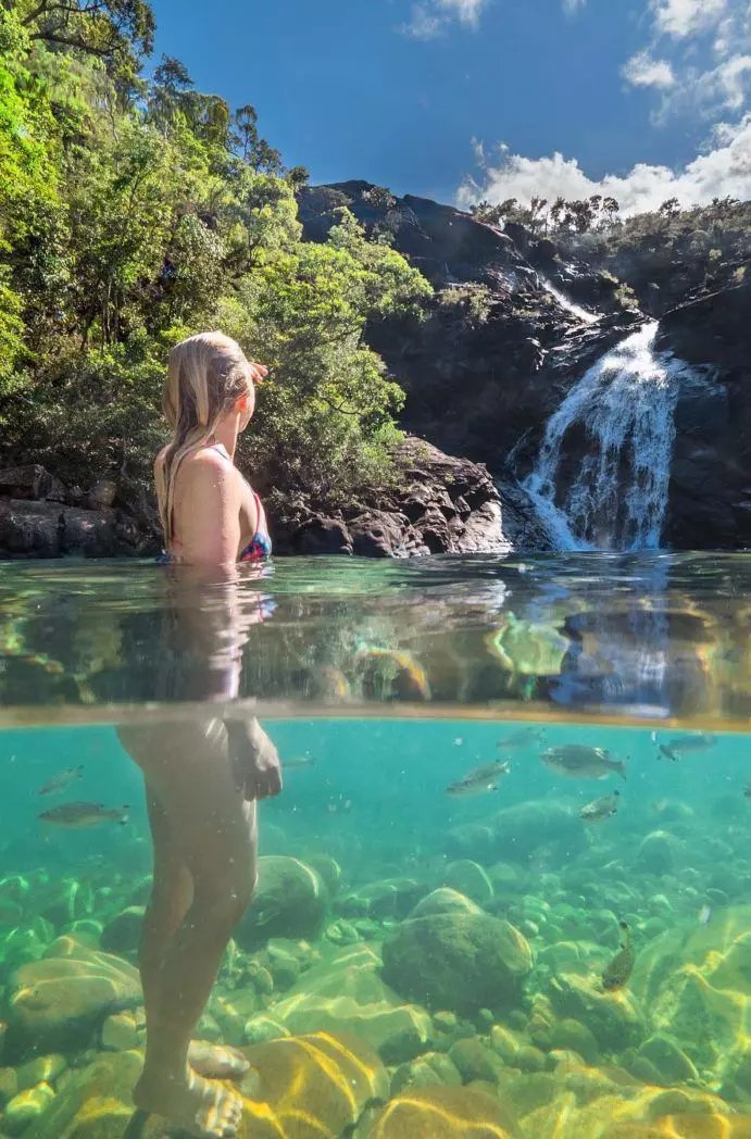 The Best Things to do in Cardwell Queensland The Best Things to do in Cardwell Queensland