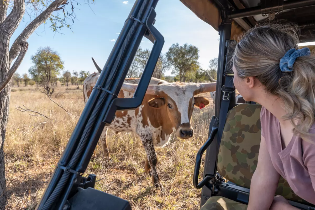 Things to Do Charters Towers, Townsville Queensland