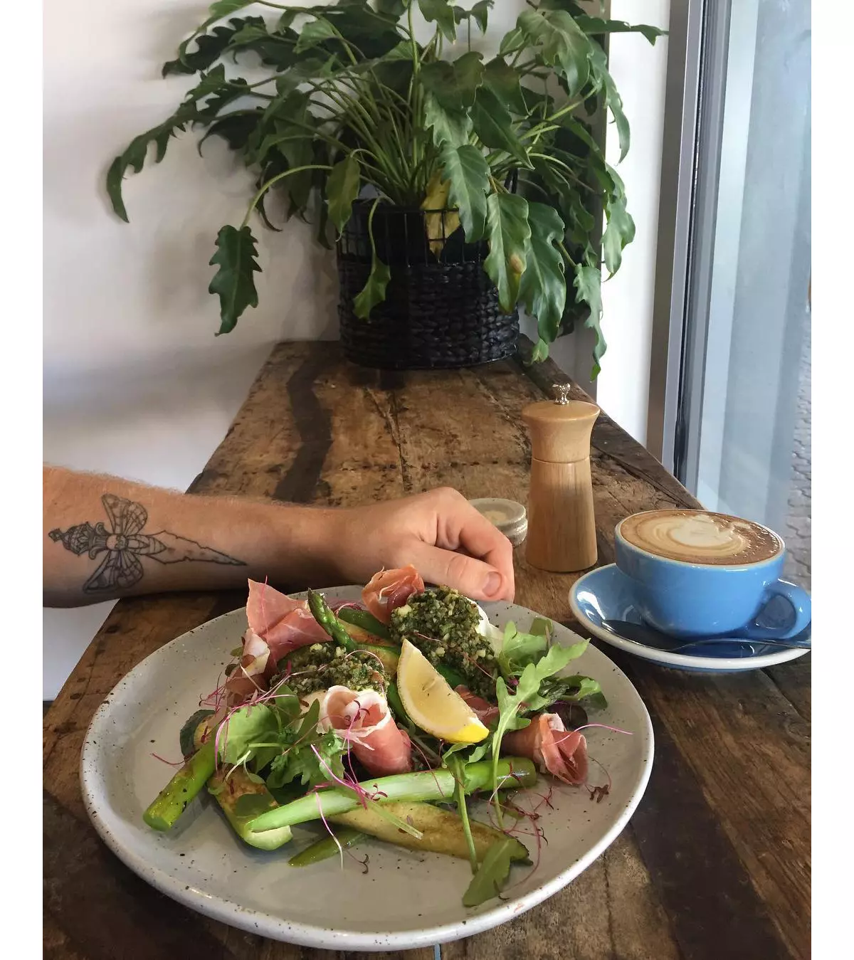 Cairns, Tully and Mission Beach Itinerary 4 Day Nature Fix Queensland