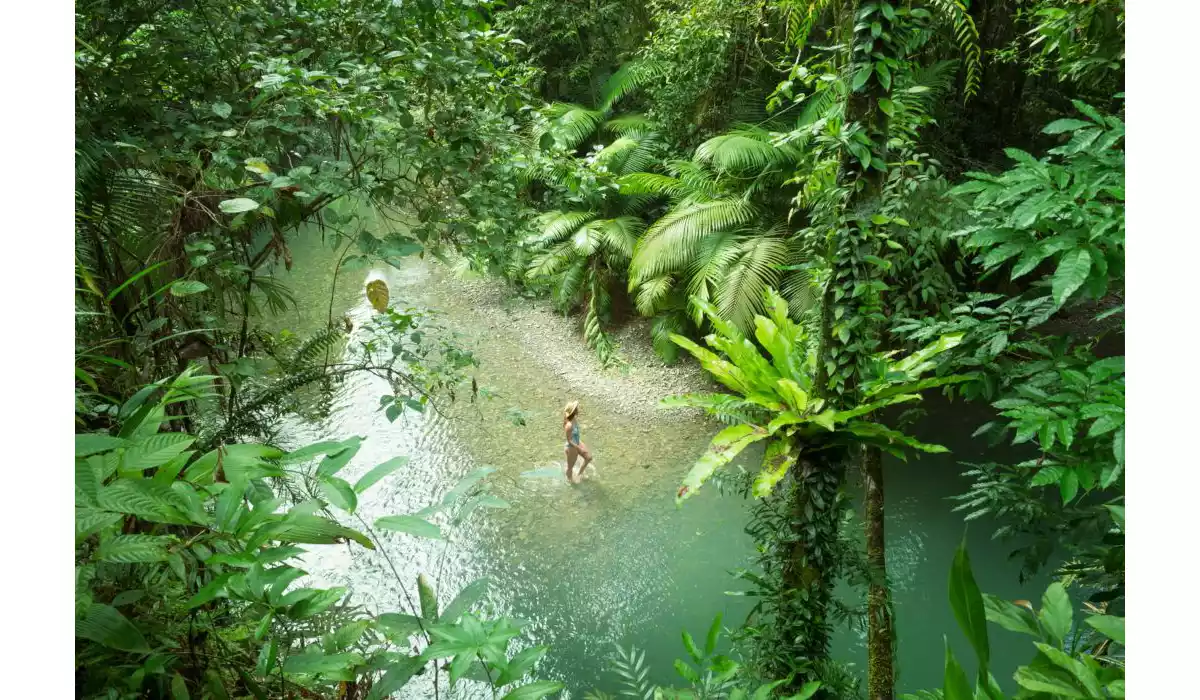 Things To Do In Port Douglas Queensland