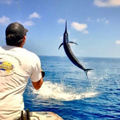Marlin fishing store