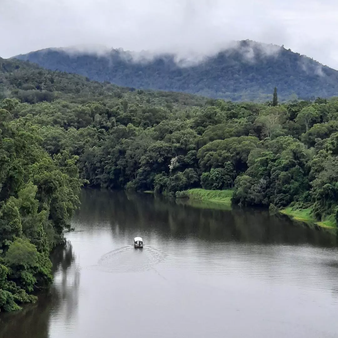 Kuranda Riverboat | Free things to do Cairns