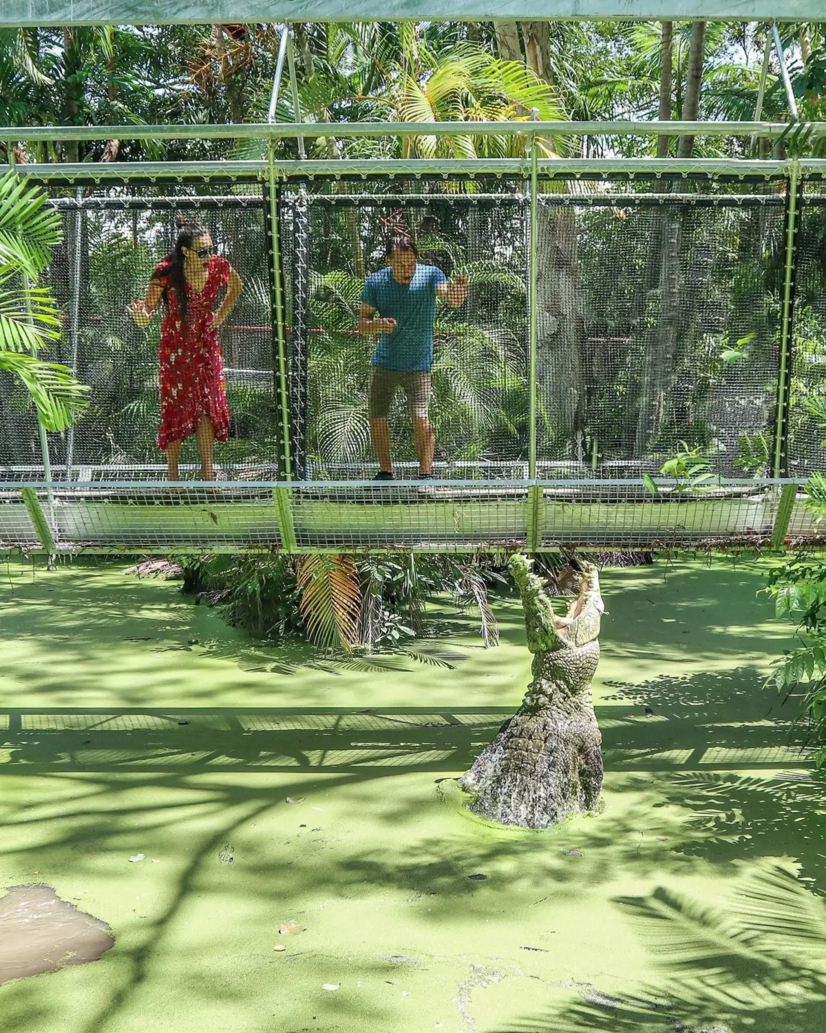 Bahamas Crocodile Encounters: Tourist'S Terrifying Tale - d49d7rn