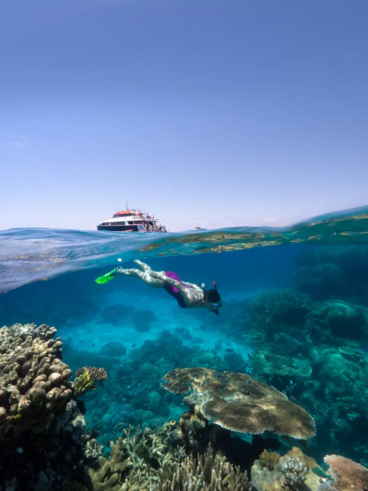 Bijdrage Deter het ergste Backpackers Guide to Cairns & Great Barrier Reef | Queensland