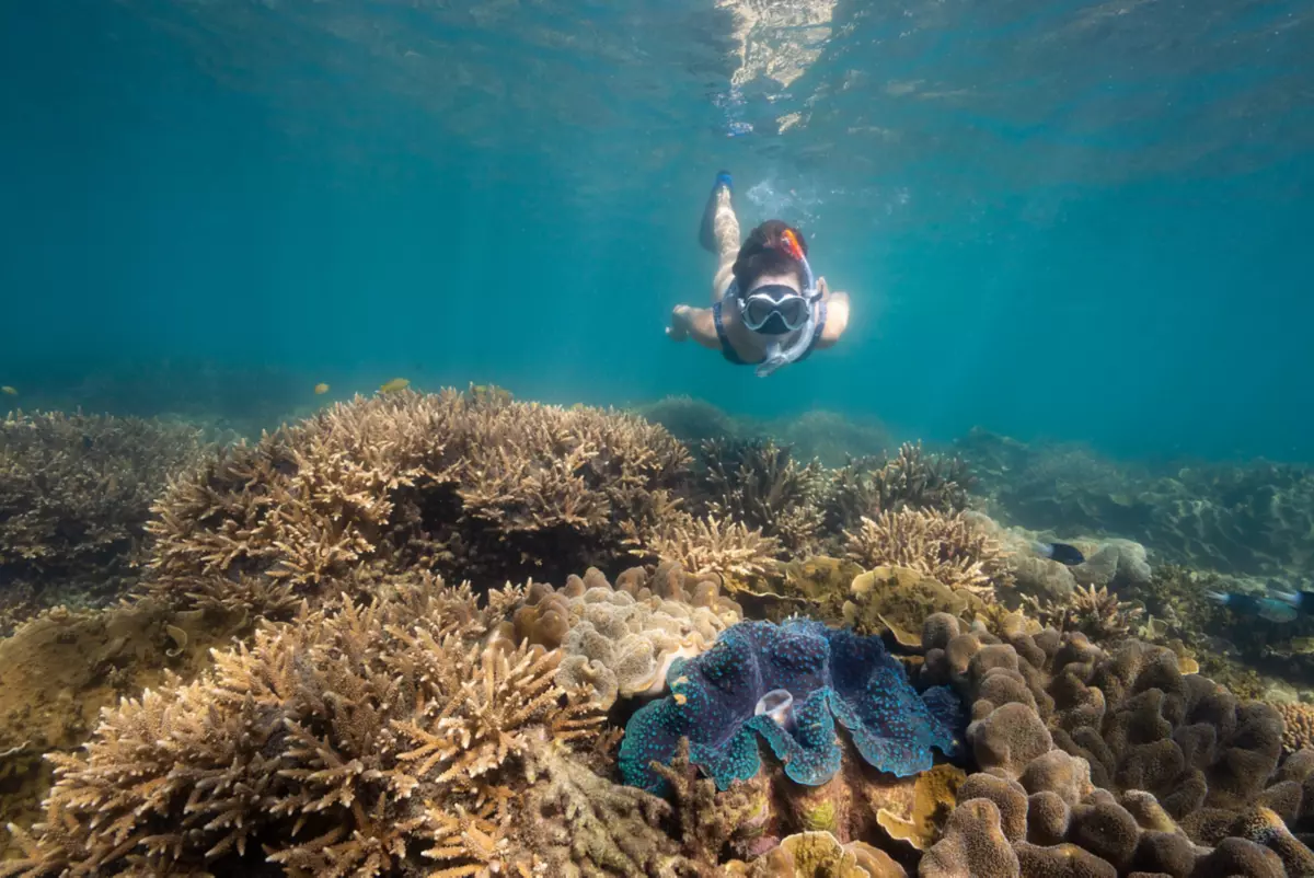 Best Snorkelling Sites In Queensland - Things to Do | Queensland