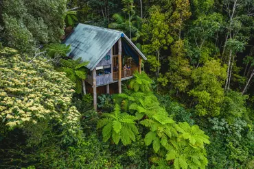 Couple looking out at view from treehouse accommodation Couple looking out at view from treehouse accommodation