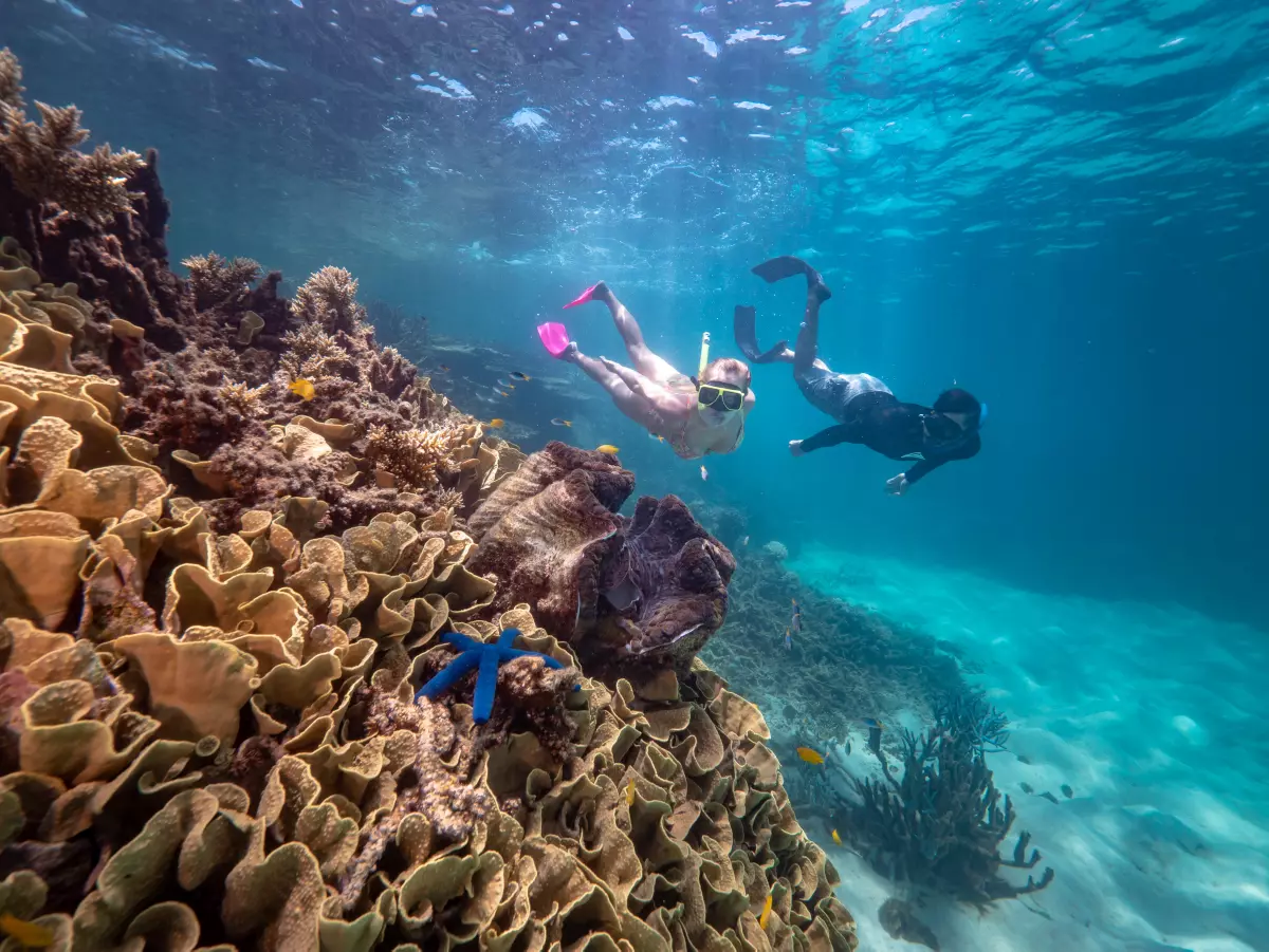 Green Island Scuba Diving - Great Barrier Reef