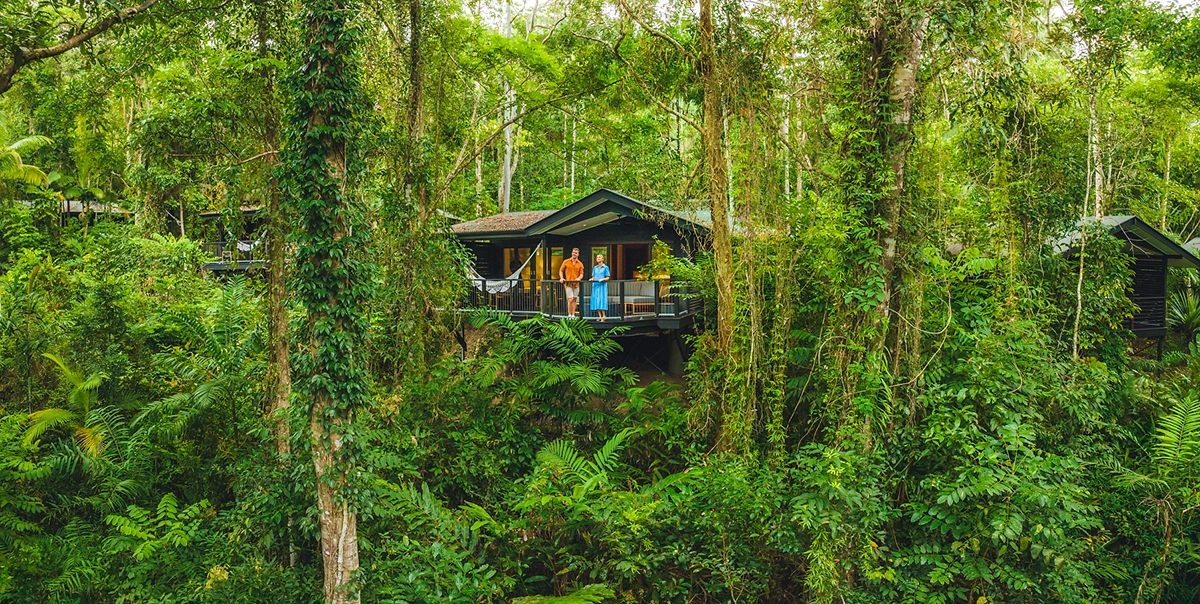 Aerial of a couple stood on the balcony of their rainforest accommodation Aerial of a couple stood on the balcony of their rainforest accommodation