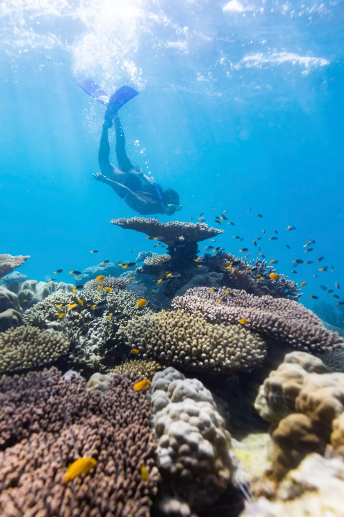 I Spent A Day With A Coral Reef Onlyfans Creator - 4818acl