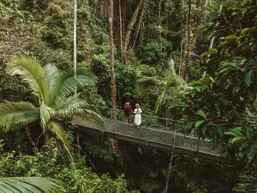 A couple explore rainforest park nestled in the Daintree National Park A couple explore rainforest park nestled in the Daintree National Park