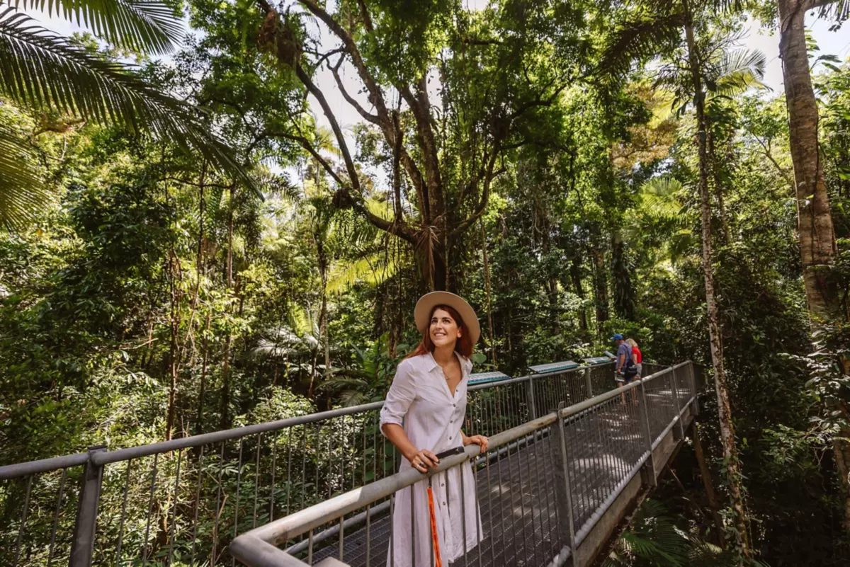The Top 5 Awe-Inspiring Rainforest Walks Near Cairns | Queensland