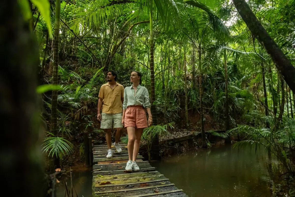 Undeniable Reasons to Visit the Daintree Rainforest | Queensland