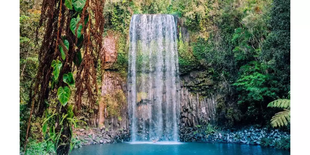 Cairns Holiday Guide